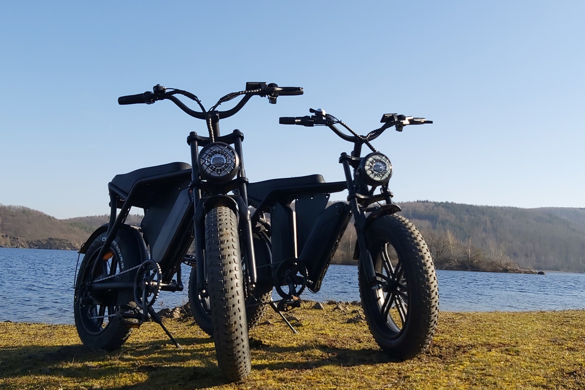 large beach cruiser